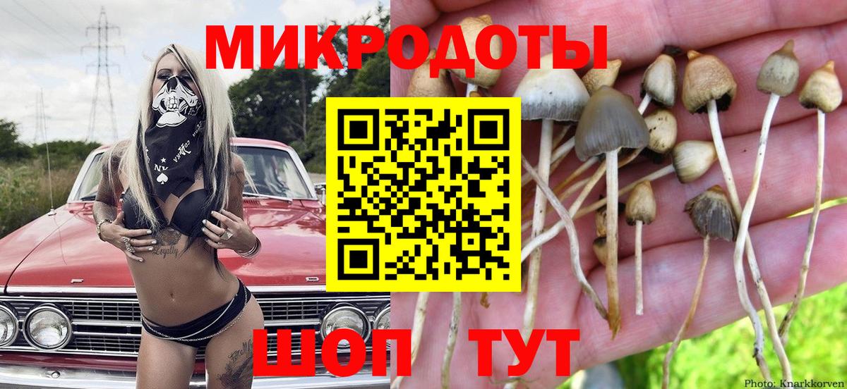 купить наркотик  Псилоцибиновые грибы прущие грибы  Вход с VPN  Сибай 